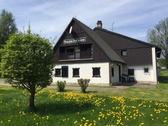 Penzion Pod Lesem Hotell Hodkovice Exteriör bild