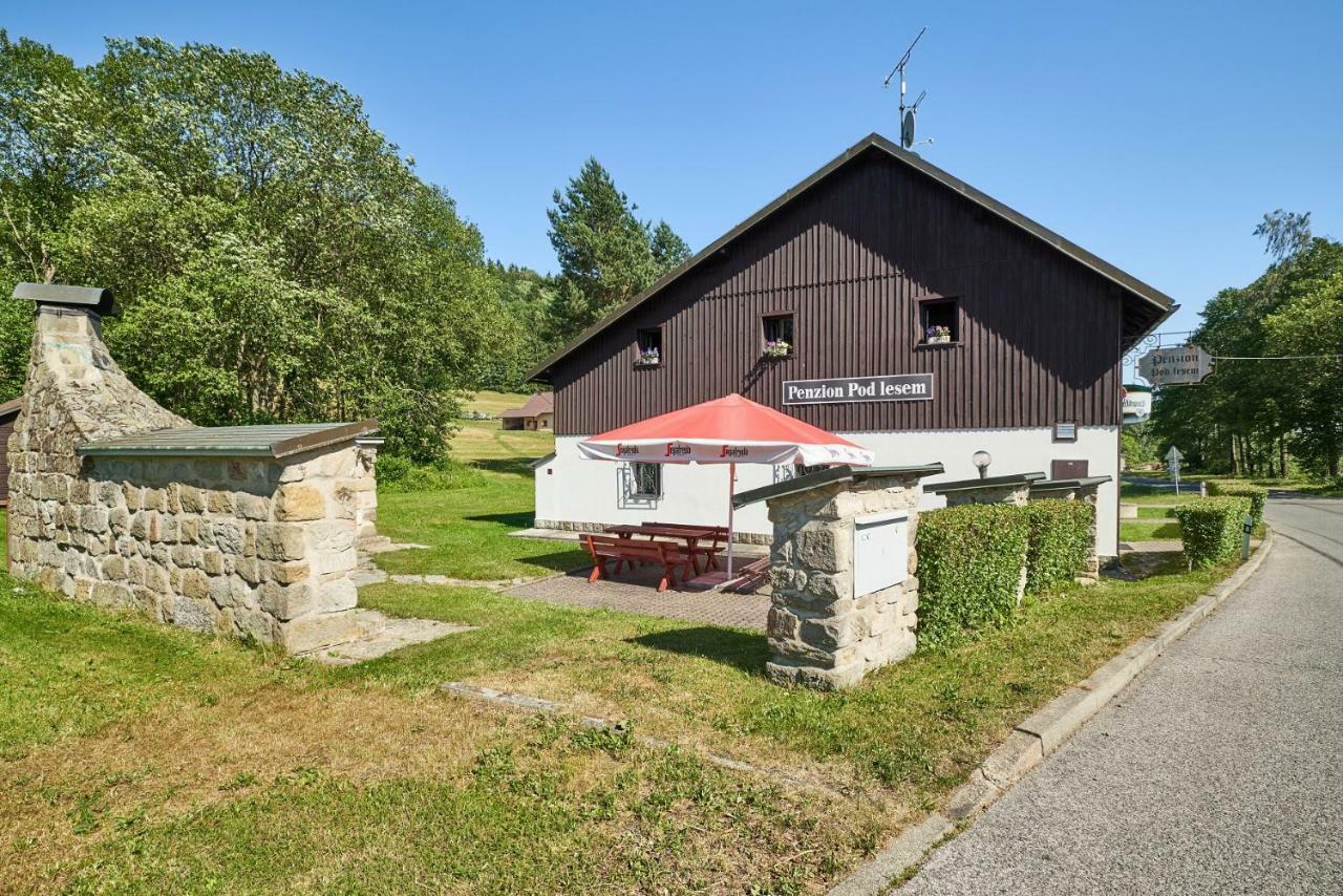 Penzion Pod Lesem Hotell Hodkovice Exteriör bild